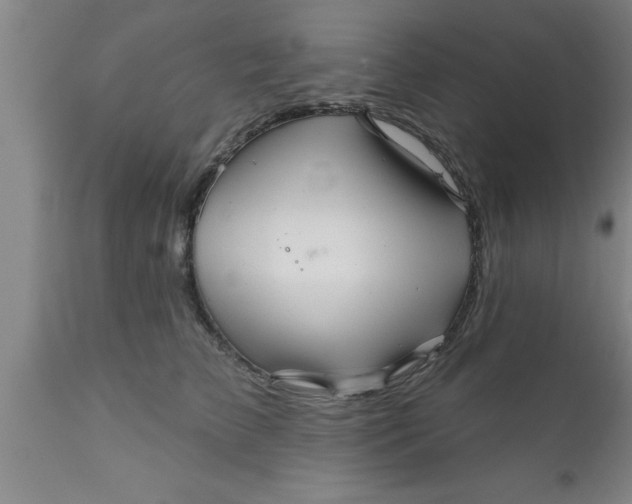 X0000111160709200907211227