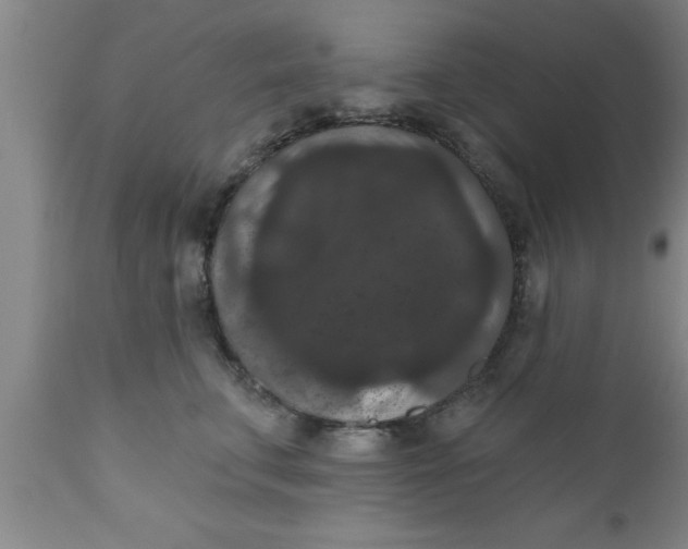 X0000111160711200907211227