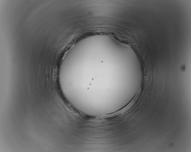 X0000111160712200907211227