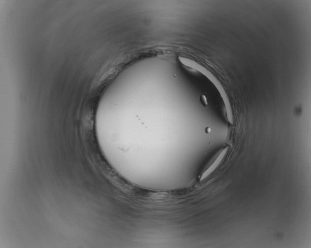 X0000111160713200907211227