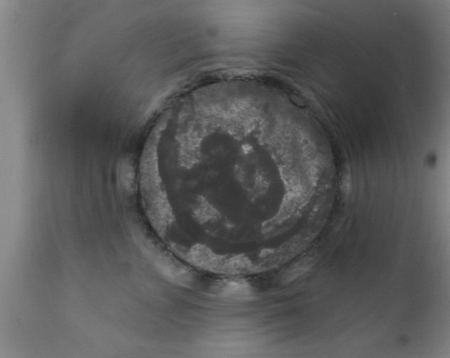 X0000111160715200907211227