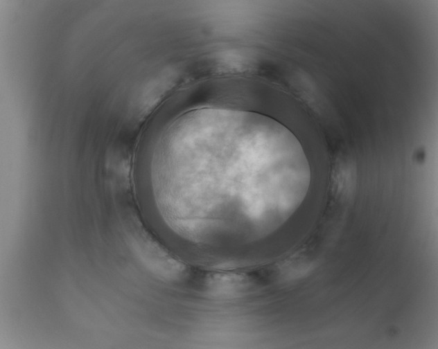 X0000111160716200907211227