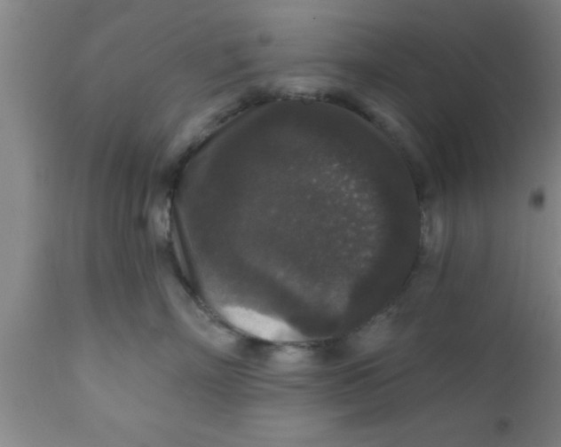 X0000111160718200907211227