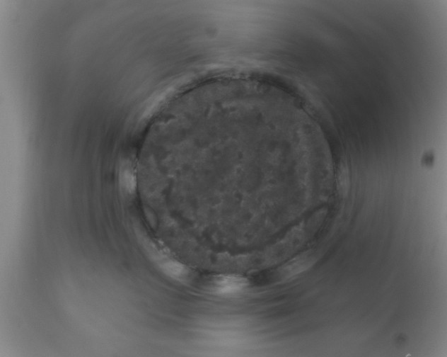 X0000111160719200907211227