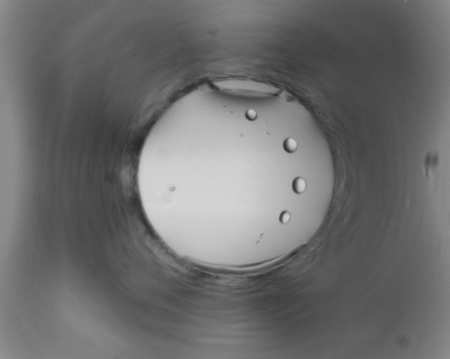 X0000111160720200907211227