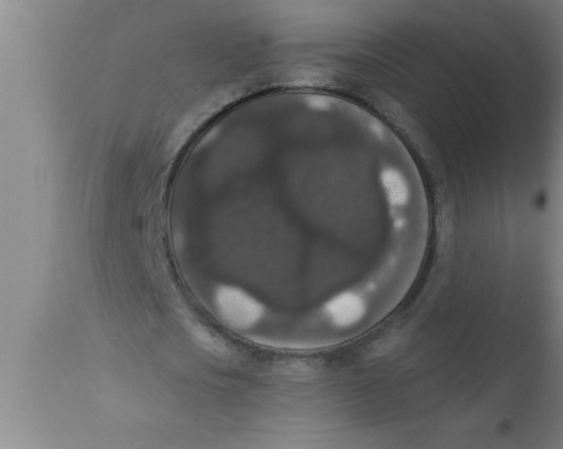 X0000111160721200907211226