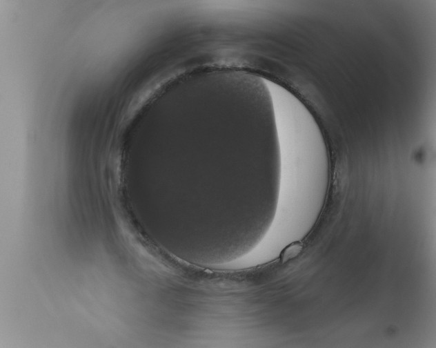 X0000111160722200907211226