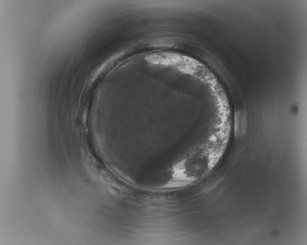 X0000111160723200907211226