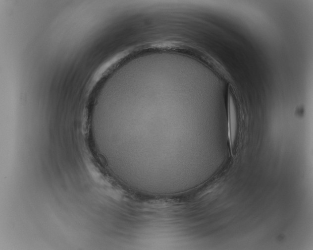 X0000111160724200907211226