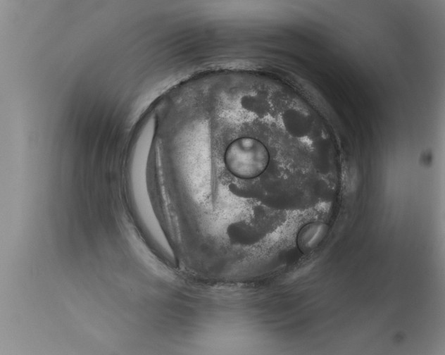 X0000111160725200907211226