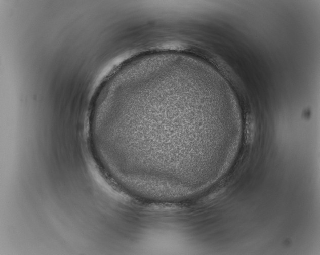 X0000111160726200907211226