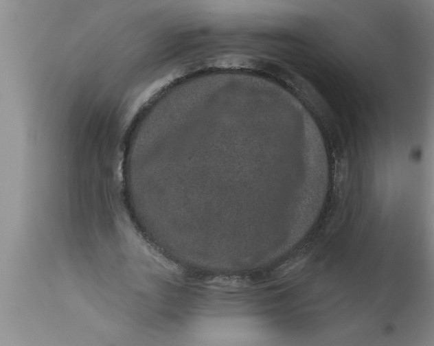 X0000111160727200907211226