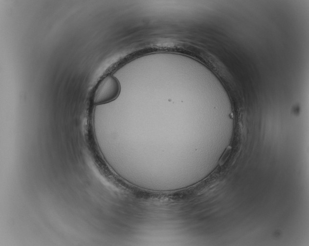 X0000111160728200907211226