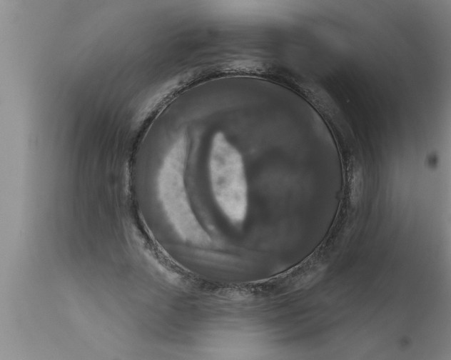 X0000111160729200907211226