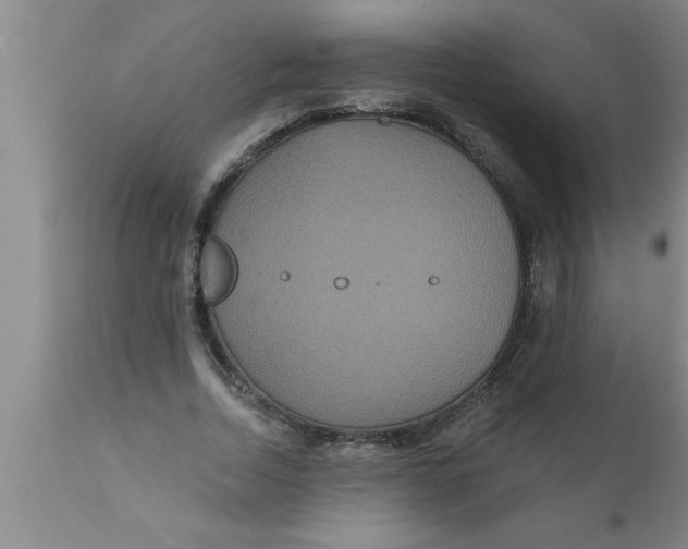 X0000111160730200907211226