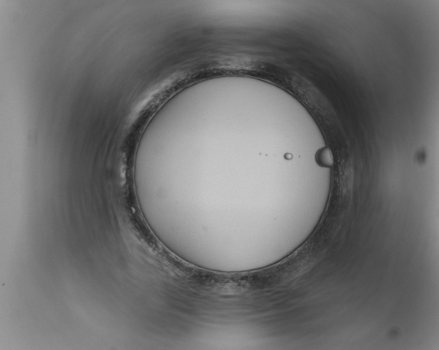 X0000111160731200907211226