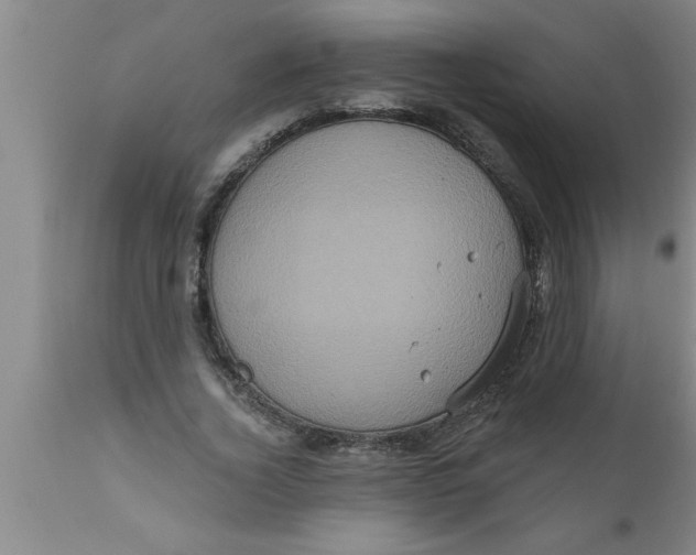 X0000111160732200907211226