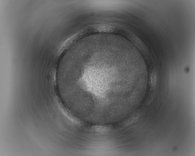 X0000111160733200907211226