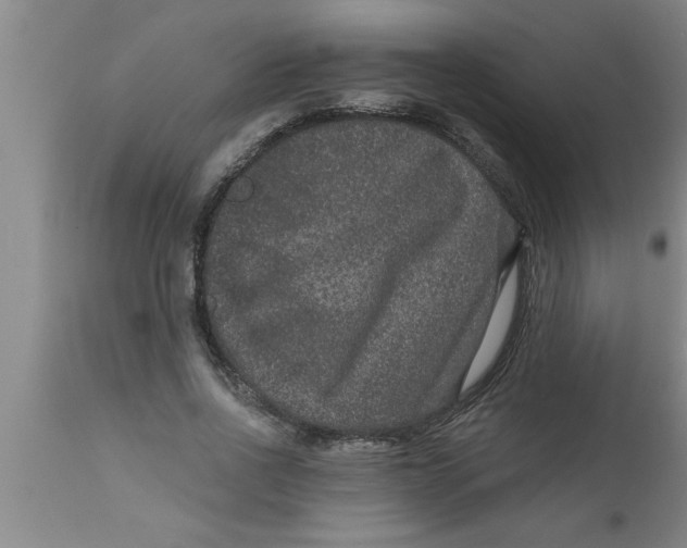 X0000111160734200907211226