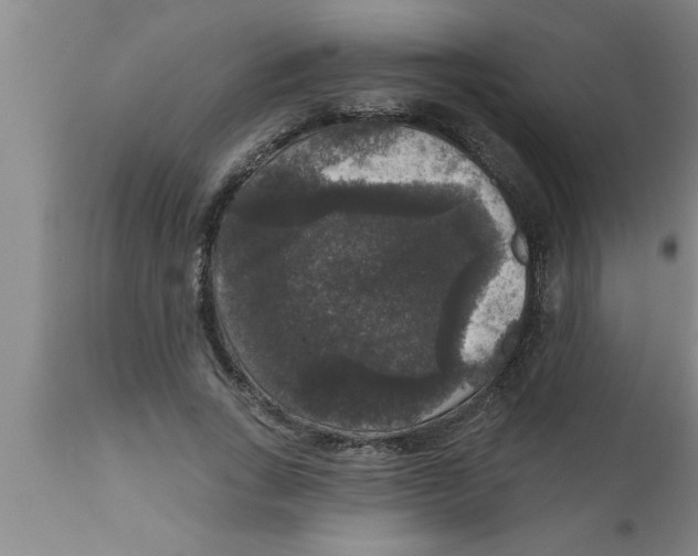 X0000111160735200907211226