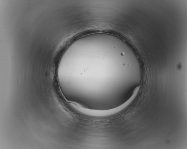 X0000111160736200907211226