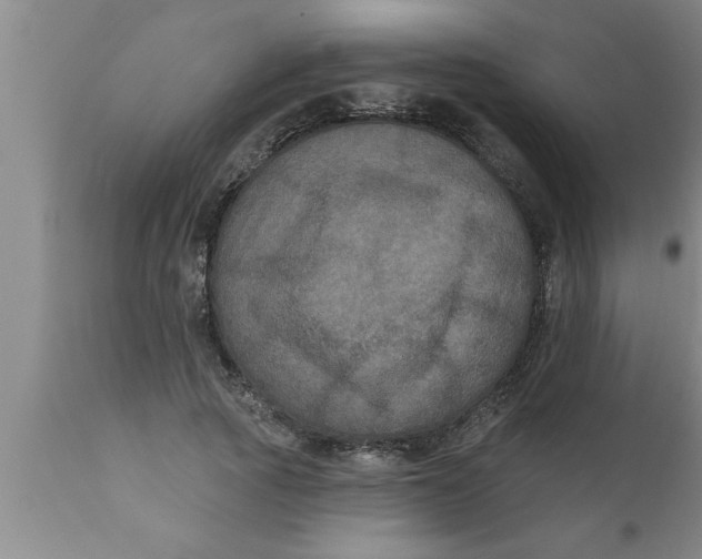 X0000111160737200907211226