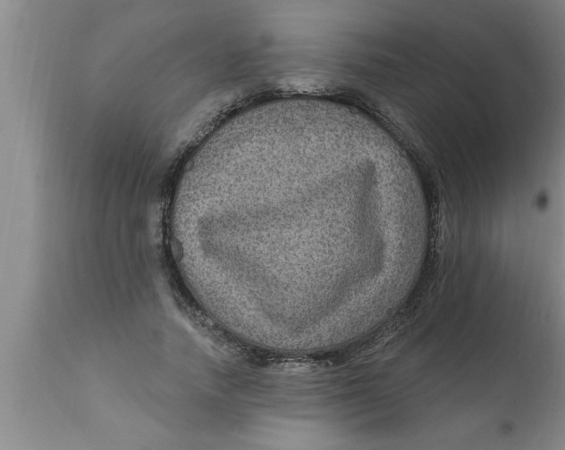 X0000111160738200907211226