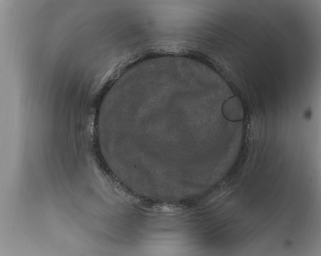 X0000111160739200907211226