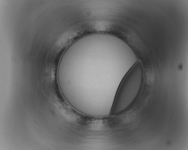 X0000111160740200907211226