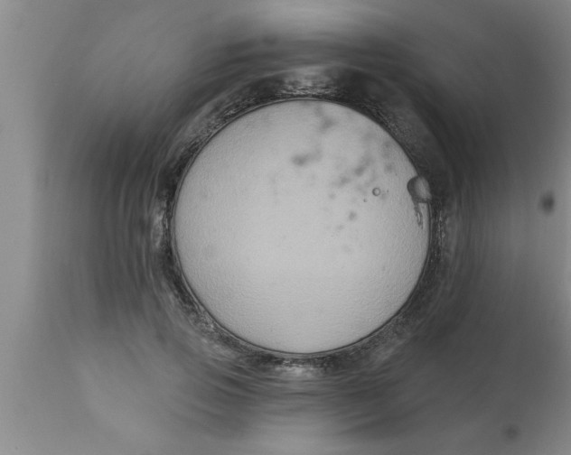 X0000111160741200907211226