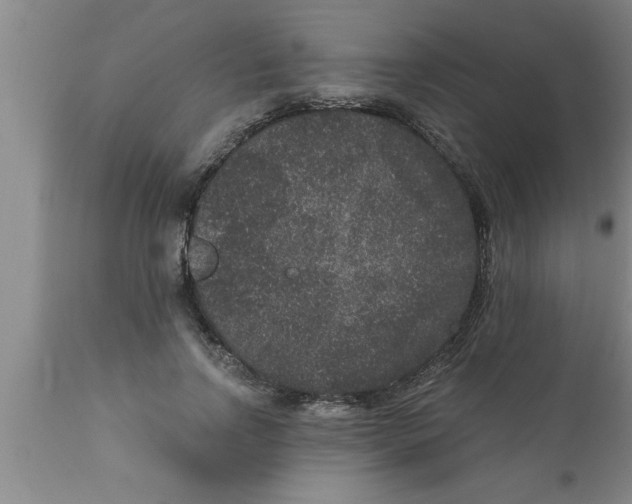 X0000111160742200907211226