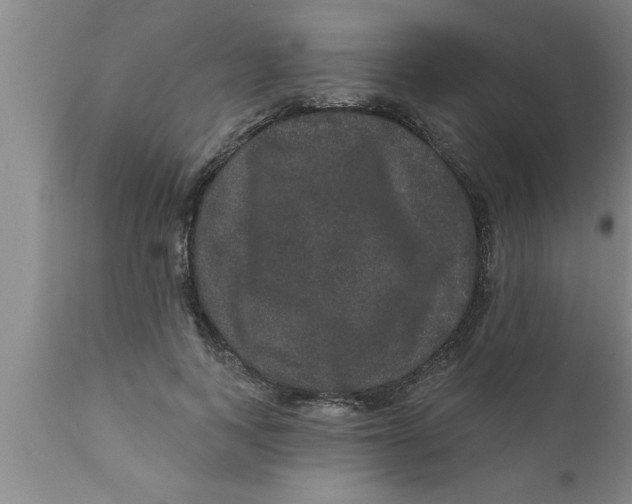 X0000111160743200907211226