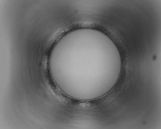 X0000111160744200907211226