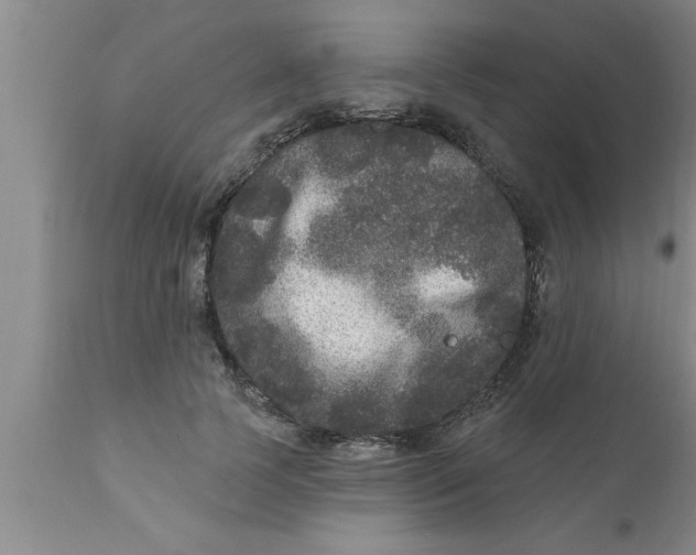 X0000111160745200907211226