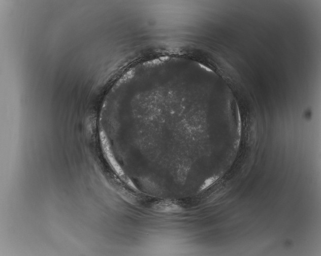 X0000111160747200907211226