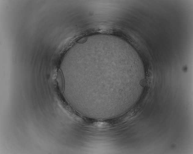 X0000111160748200907211226