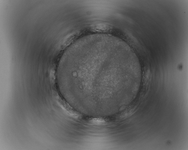 X0000111160749200907211226