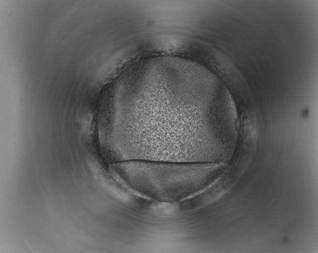 X0000111160750200907211226