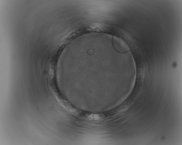 X0000111160751200907211226