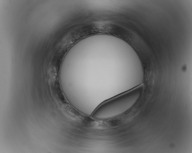 X0000111160752200907211226