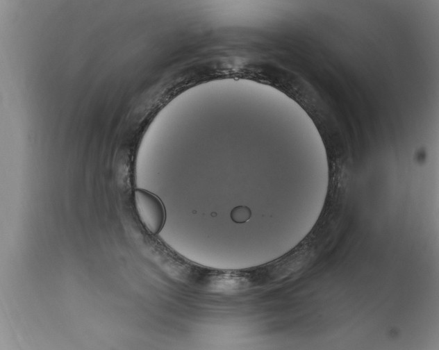 X0000111160754200907211227