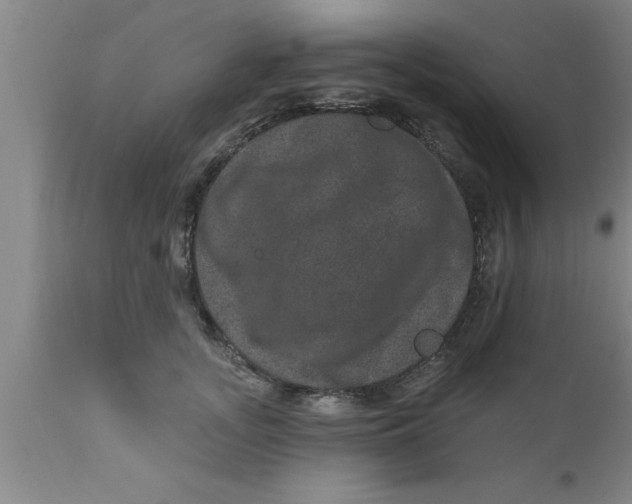 X0000111160755200907211227