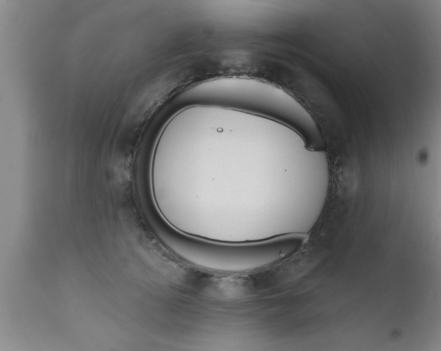 X0000111160756200907211227