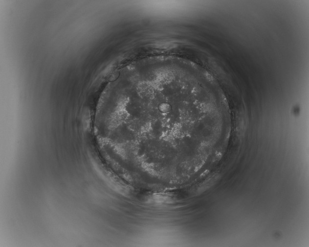 X0000111160758200907211227