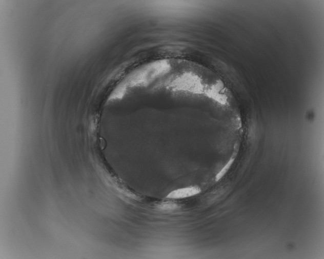 X0000111160759200907211227