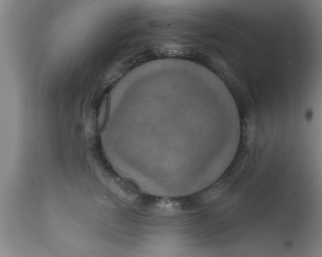 X0000111160760200907211227