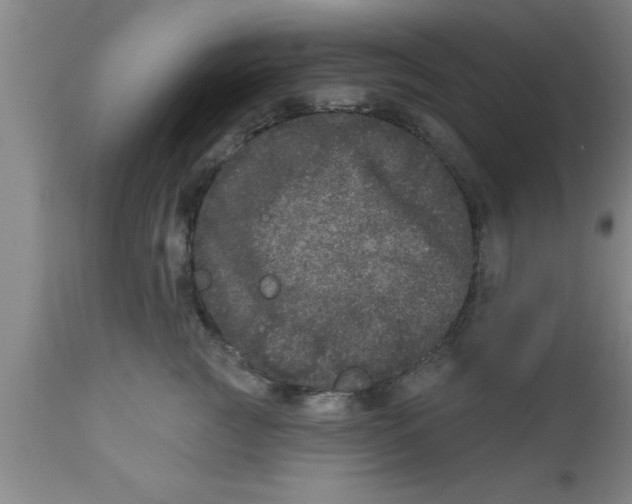 X0000111160761200907211227