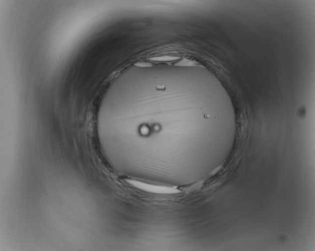 X0000111160762200907211227