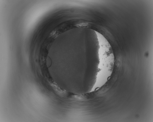 X0000111160763200907211227