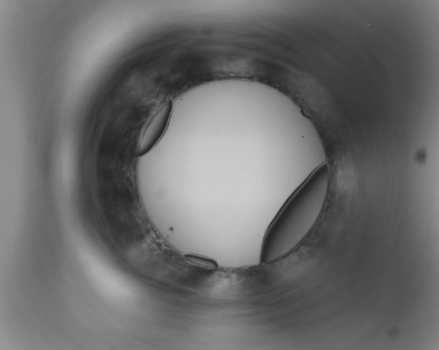 X0000111160764200907211227